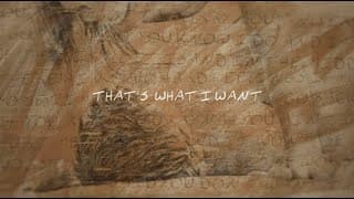 Morgan Wallen - What I Want (feat. Tate McRae) (Lyric Video)