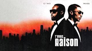 GIMS (ft. @Maesofficiel) - T'AVAIS RAISON (Official Lyrics Video)
